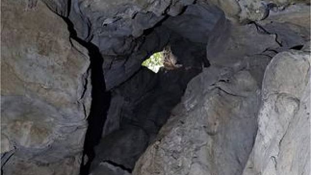 完蛋，出不去了咋办
#户外探险  #山洞到底藏着什么 #探险 #大自然的鬼斧神工 #惊险刺激