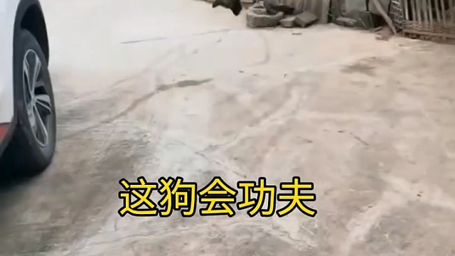 这年头没点技能，怎么生存[捂脸]