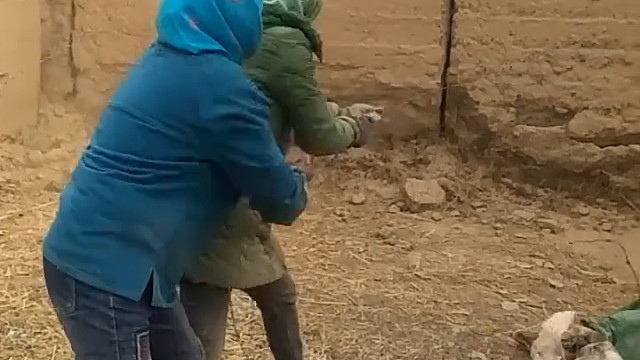 第一次见锯墙的，看了几遍还是没看清锯子[捂脸]