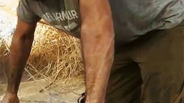 德爷舍弃全副武装的保镖，带着骆驼勇闯沙漠 #荒野求生