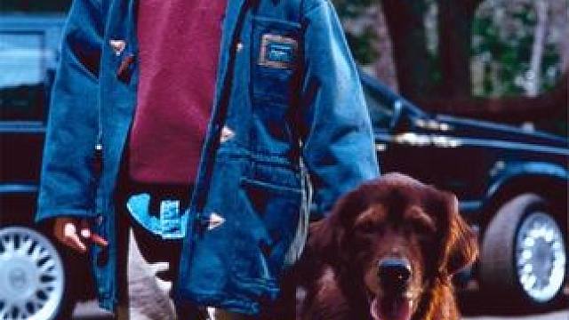 富豪投胎成流浪狗，带着前世记忆，千里寻找妻儿！ #狗狗