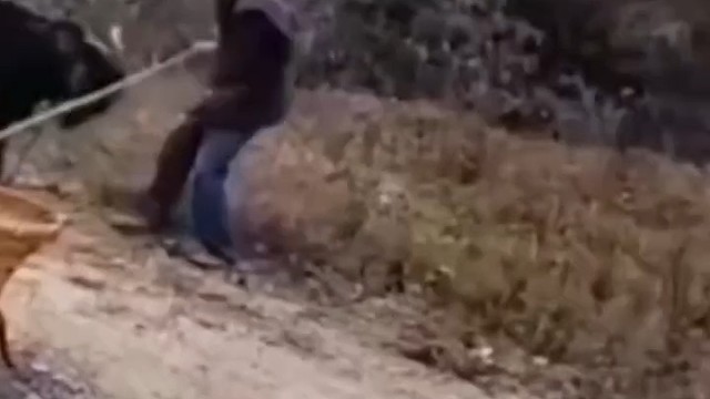 老汉下手有点重