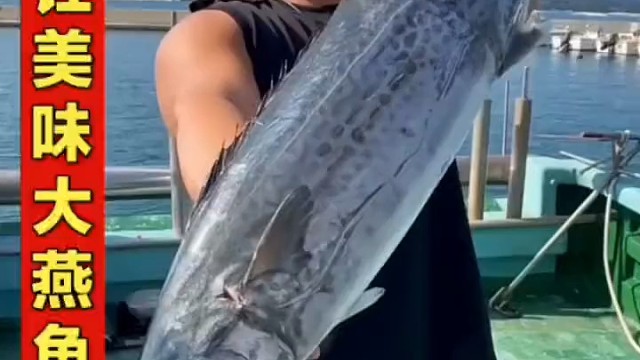 烹饪美味大燕鱼