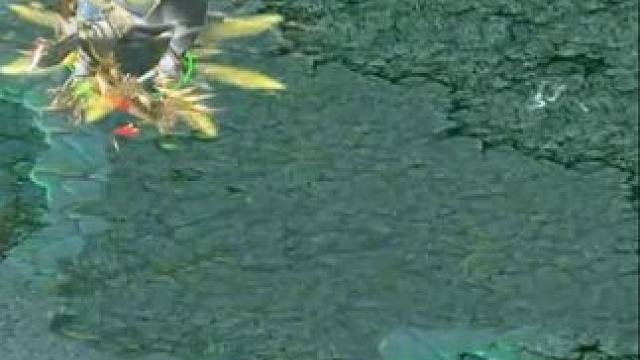 （三）大熊原声大碟，铁血战马，高地五杀暴走