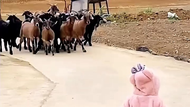 避开他走就对了