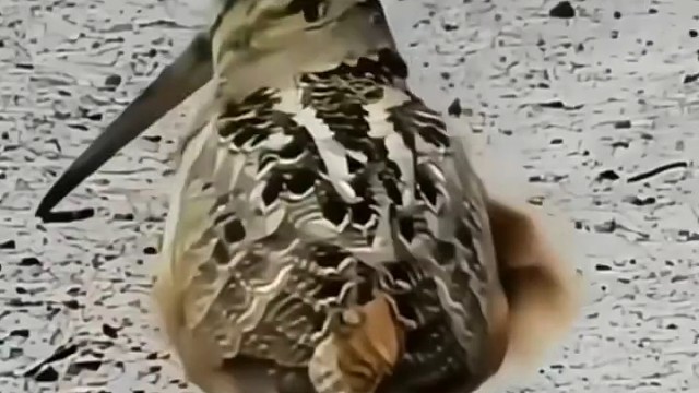 年底刚发完年终奖，不然怎么能这么潇洒！