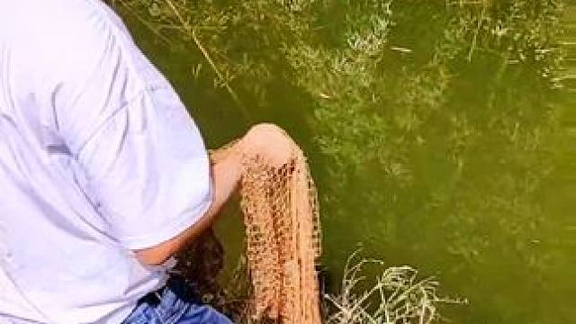 回来云南的第一天，朋友约我去打鱼#撒网打鱼 #云南乡村守护人