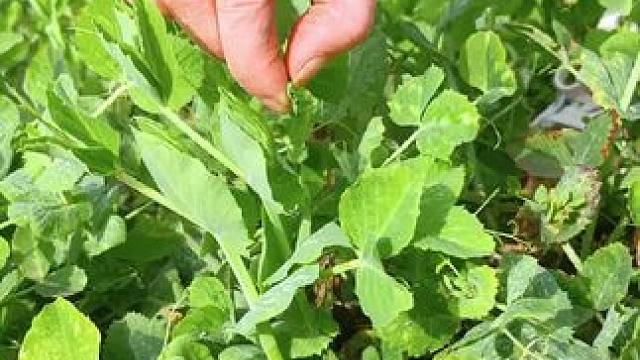 2024.2.16（大年初七）