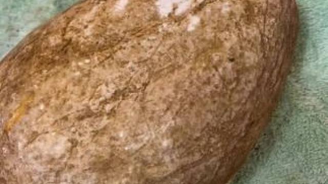 我发布了一个新视频，快来围观吧！