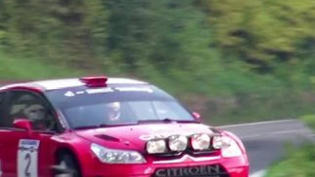 弯道上的艺术，不同的车型与车手，展现出不一样的过弯姿态，你觉得那一辆用时最短..#wrc拉力赛