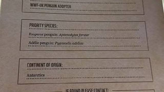 眼睛尿尿了#友谊 #温暖 #娱乐评论大赏 #朋友 #感动