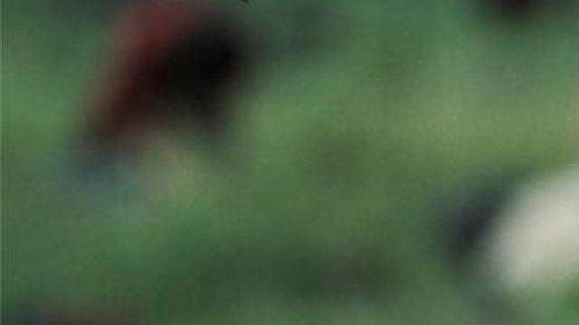 中世纪 - 英格兰泰腾壕战役！~惨烈无比 #孤国春秋  #好剧推荐 #最后的王国 #历史 #超燃 #战争