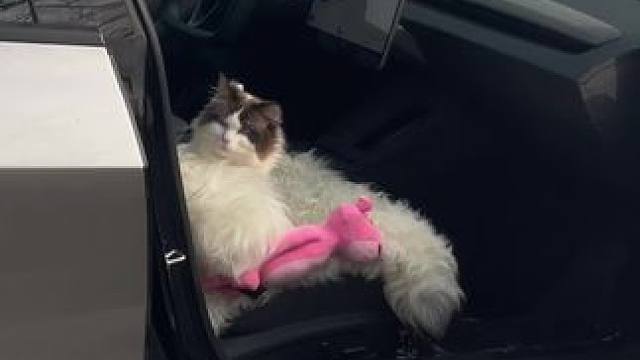 我发布了一个新视频，快来围观吧！