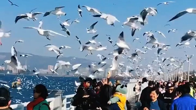 今生只想和你在一起