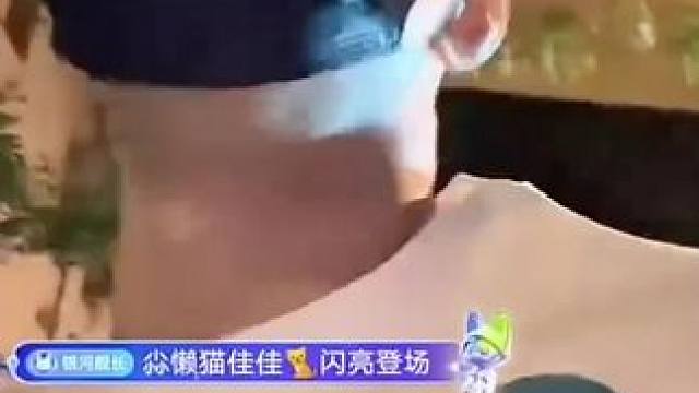 艾伦继伟杨导高度评价手帝#辽宁男篮 #识货种草官