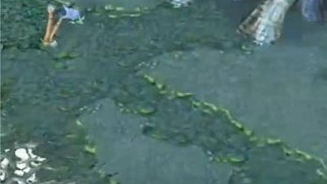 （三）大熊原声大碟，新年快乐，燃爆全场的老鹿