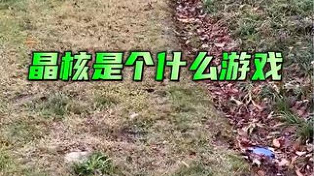 这是什么游戏？十八岁才能接触的游戏#晶核 #杨幂代言晶核