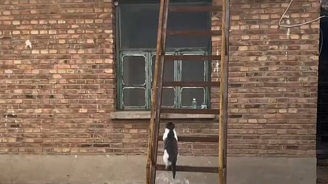 这是怎么上去的看了两遍也没看清楚