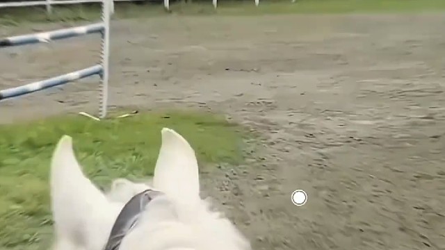 学英语学英语