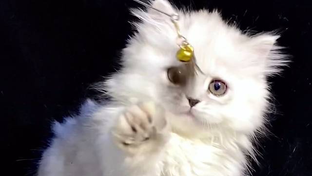 我发布了一个新视频，快来围观吧！