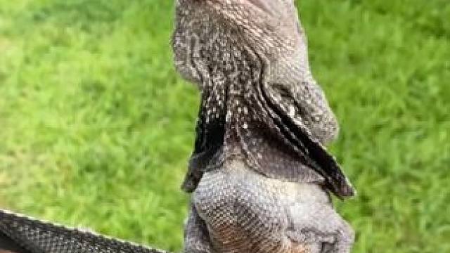 野生动物零距离~