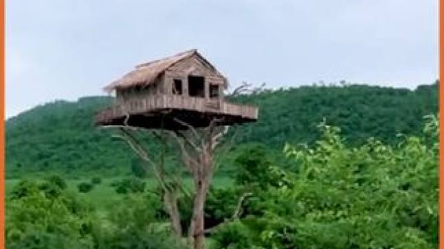 究竟是多完美的树屋，让二人过上了神仙般的生活#荒野建造 #野外生存 #户外露营 #原始技术 #助眠