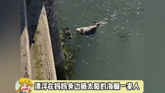 在妈妈身边就是最幸福的宝宝，好幸福好暖和的感觉