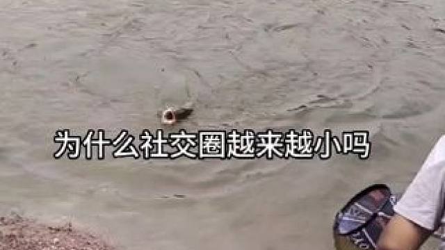 #钓鱼的乐趣只有钓鱼人懂 #渔具用品