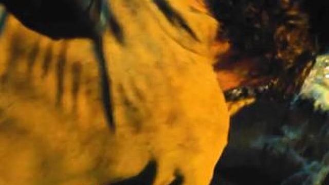 #因为一个片段看了整部剧   #每日推荐电影   #我的观影报告