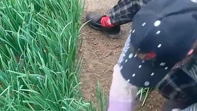 真是快手姐妹们[赞]