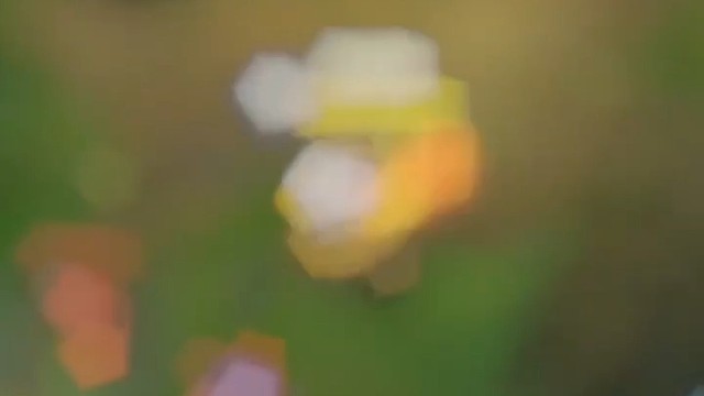 像我这样的菜鸡会反方向闪现