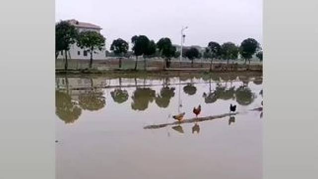 我发布了一个新视频，快来围观吧！