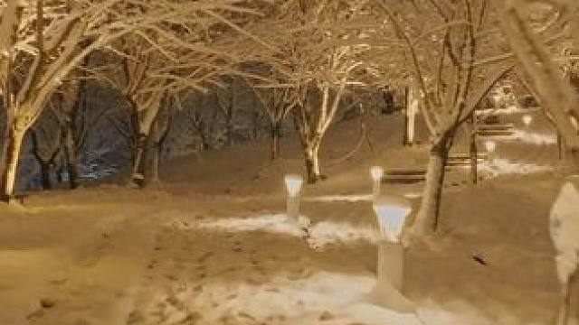 回首初雪❄️浙师等你回家～ #喜欢下雪的感觉 #雪夜 #校园随拍 #我为我的学校打call