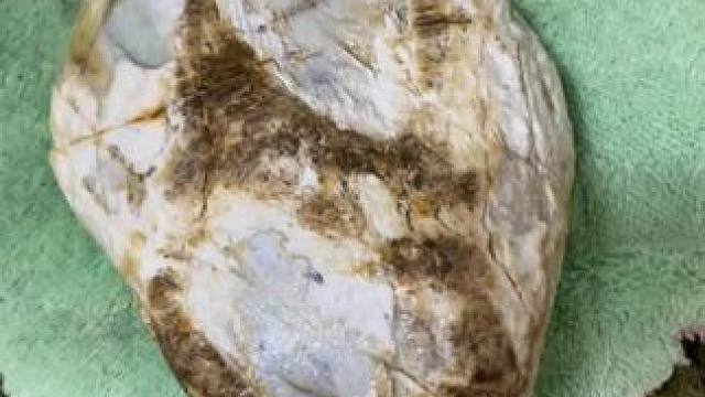 我发布了一个新视频，快来围观吧！