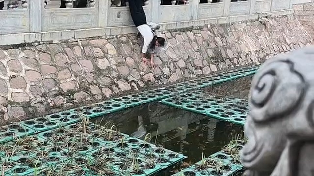 想起了猴子捞月亮[允悲]