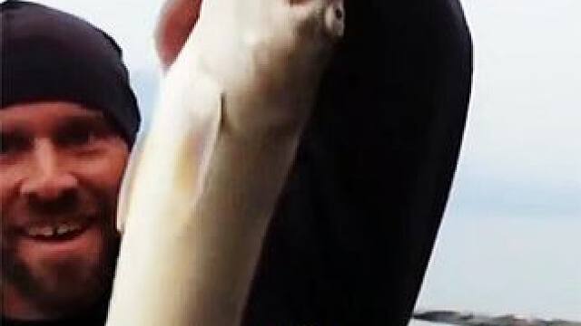 网络上个个是专家，实践中天天吃树根 #荒野求生  #荒野独居