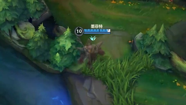 欢迎来到老六的世界