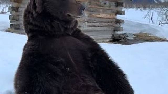 野生动物零距离~