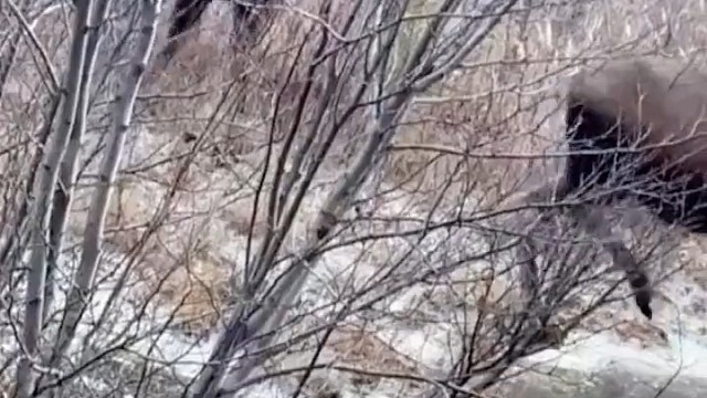 马：这也太滑了吧