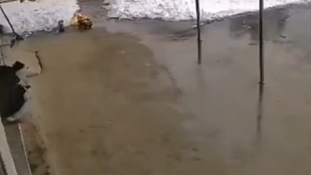 这棚子也太不结实了