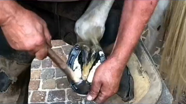 国外修蹄师傅如何修理马蹄