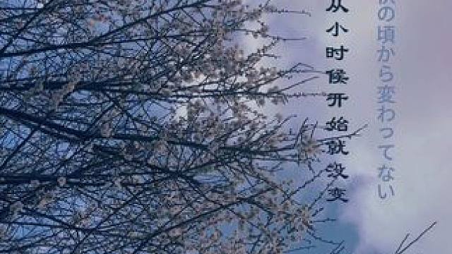 愿你历尽千帆，不染岁月风尘；
遍历山河，仍觉人间值得；
出走半生，归来仍是少年。
#日语 #录音#原