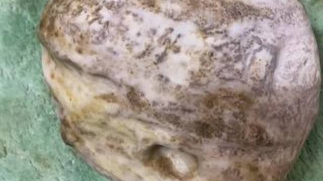 我发布了一个新视频，快来围观吧！