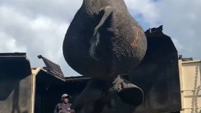 野生动物零距离~