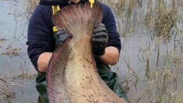 钓鱼的乐趣只有钓鱼人懂~