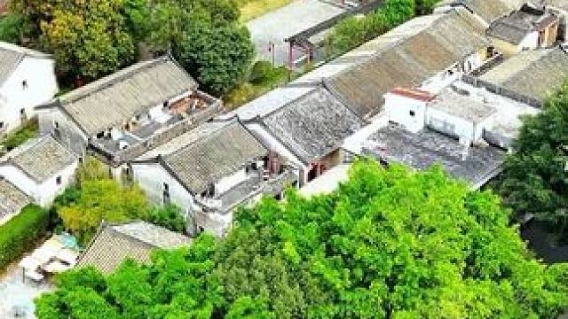 阳春三月踏青赏花一定要来这里，免门票#旅行推荐官 #治愈系风景 带你去赏花 #油菜花 #踏春赏