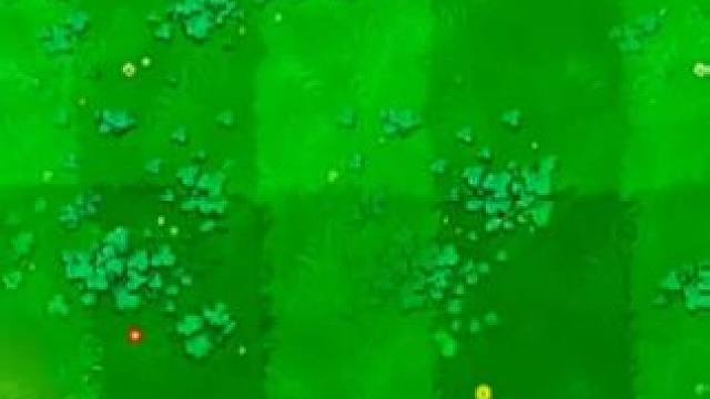 我发布了一个新视频，快来围观吧！