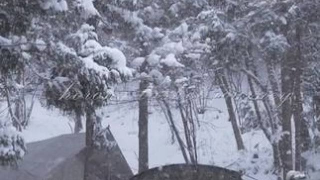 大雪天，很适合露营哎 #露营⛺ #一起看雪 #雪景