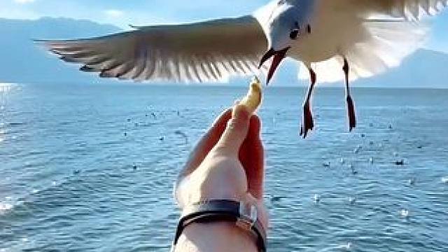 愿2024一切都如想象中美好！