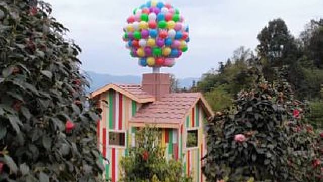 阳春三月将至，蒙顶山的山茶花与茶山樱花也将迎来盛放，欢迎大家来春游赏花#春天必打卡的樱花胜地 #春游